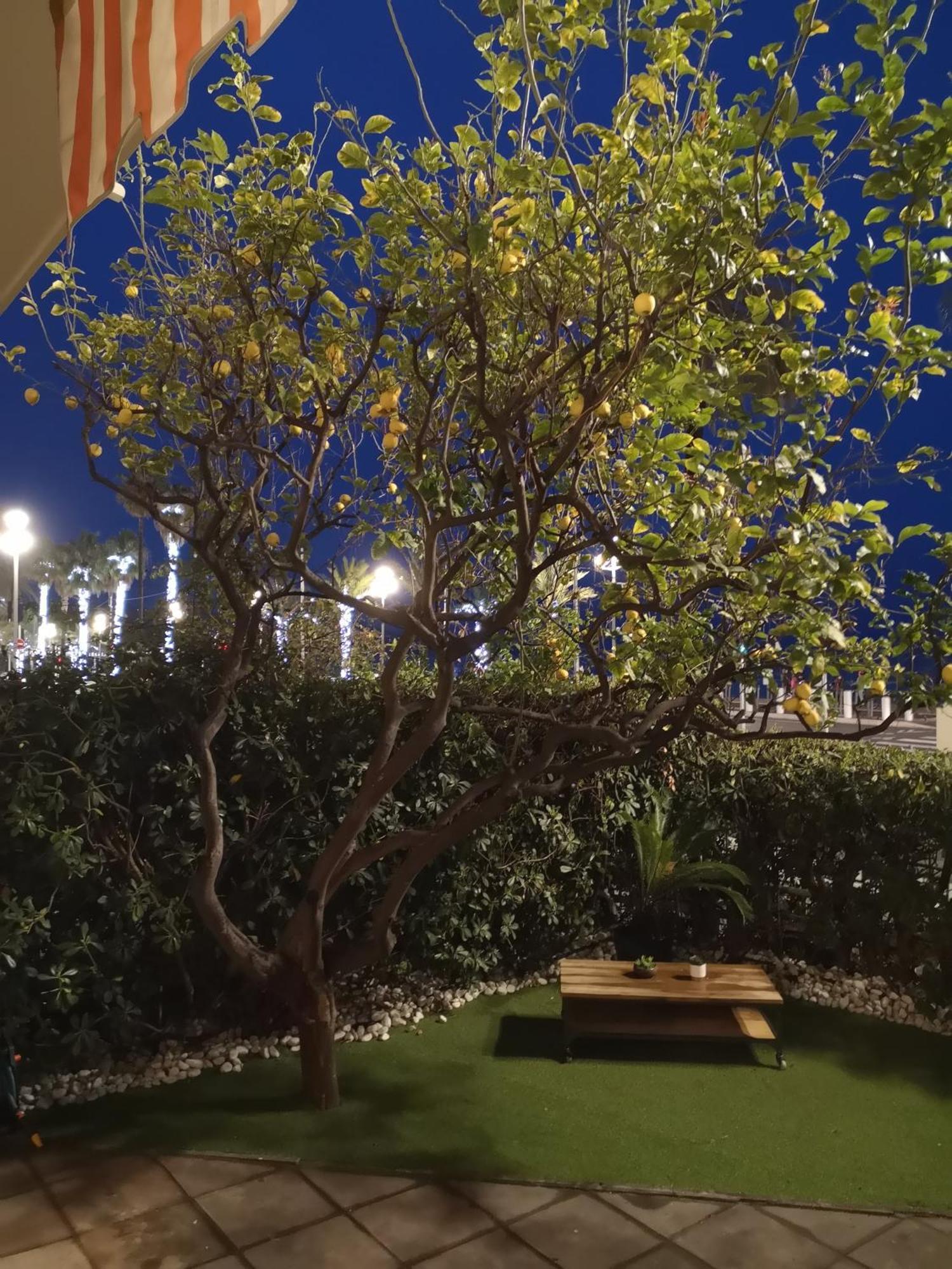 Garden Atlantide Promenade Lejlighed Nice Eksteriør billede