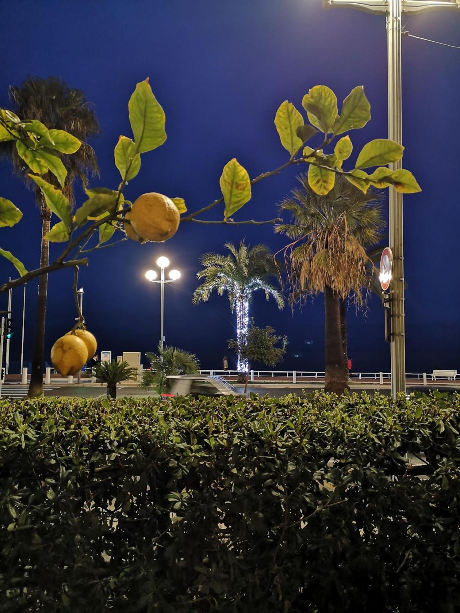 Garden Atlantide Promenade Lejlighed Nice Eksteriør billede