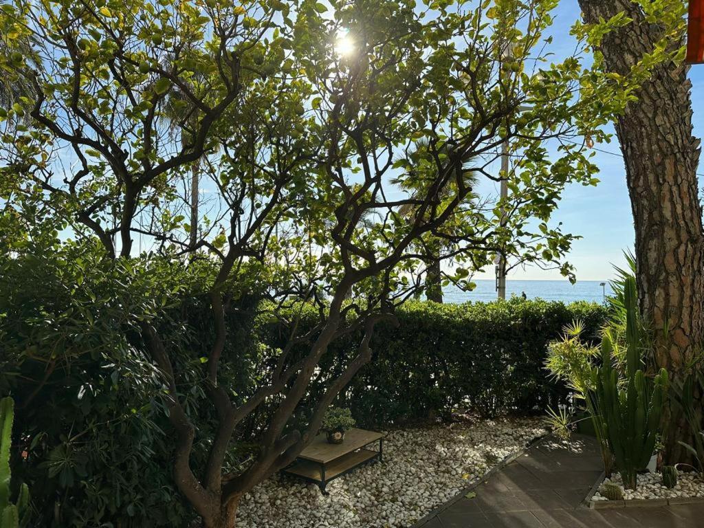 Garden Atlantide Promenade Lejlighed Nice Eksteriør billede